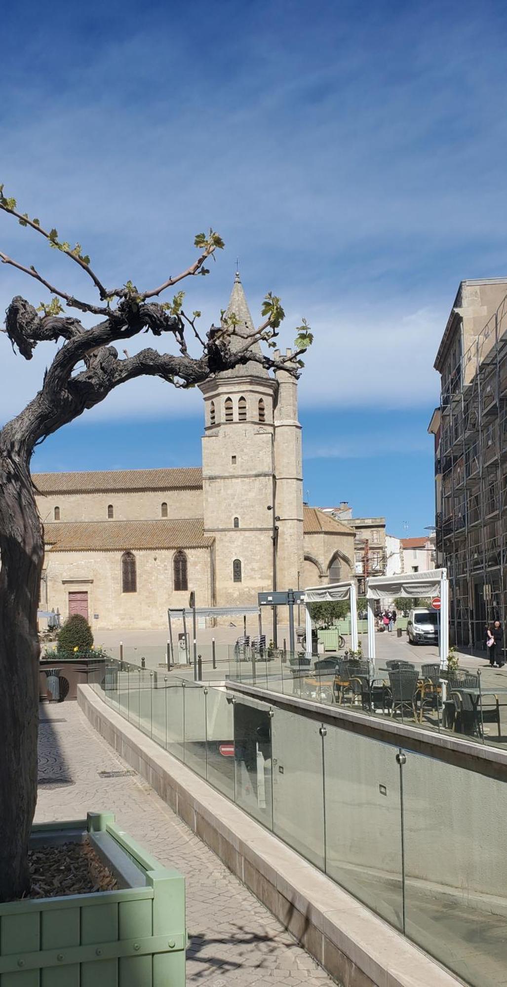 Le Patio, Climatisation Terrasse Wi-Fi Netflix 15 Mn Coeur De Ville Béziers Eksteriør bilde